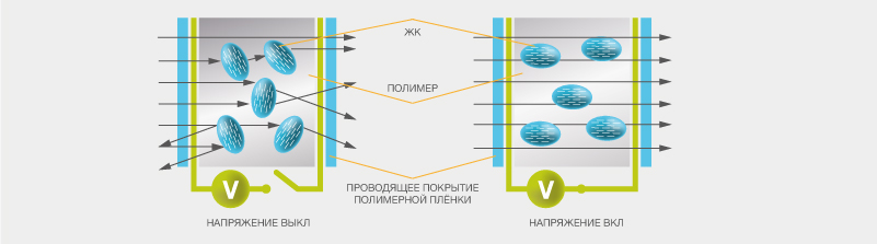 SMART стекло в офисе